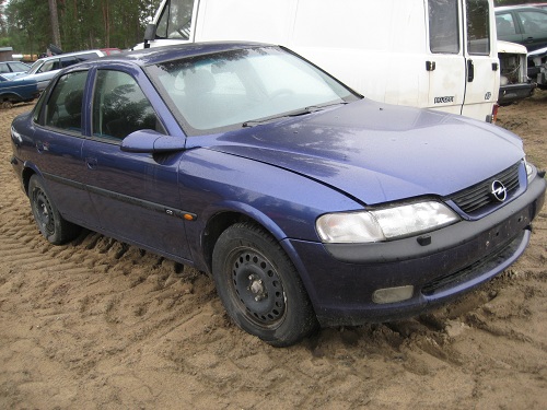 Vectra B